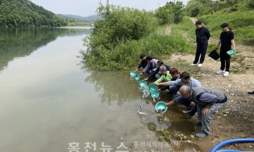 홍천수산 이미지