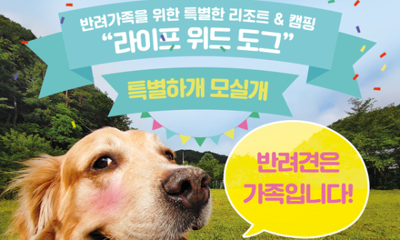 라이프위드도그 이미지