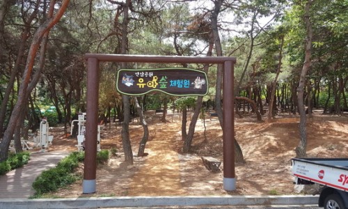 연암공원 유아숲체험원 이미지