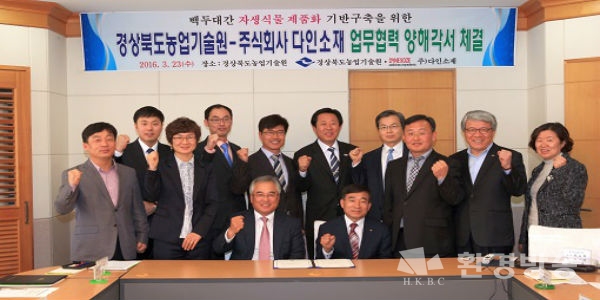 백두대간 치킨 이미지