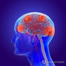 휴먼저널 이미지