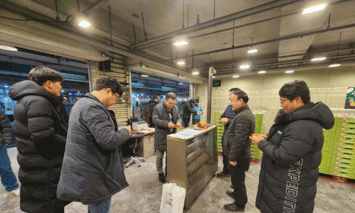 토담토담 이미지