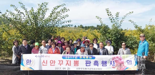 신안꾸지뽕 이미지