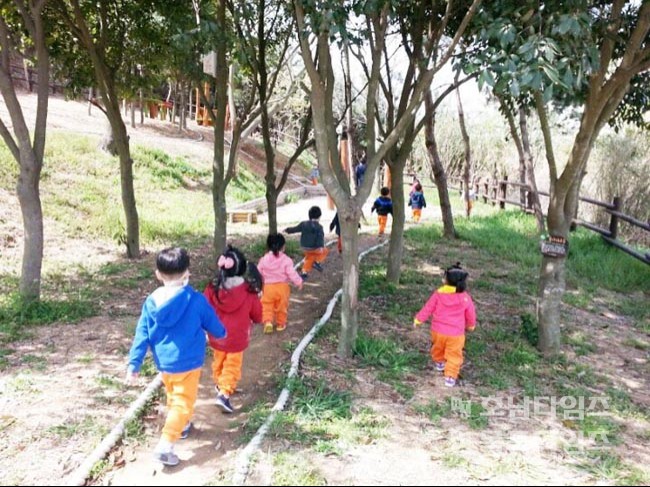 전라남도 유아숲체험원 이미지