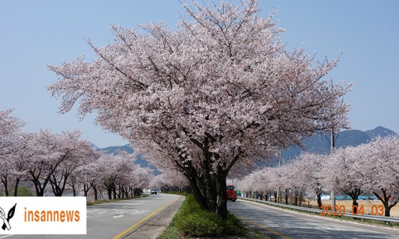 인산마을 이미지