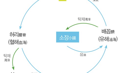제이하스 이미지