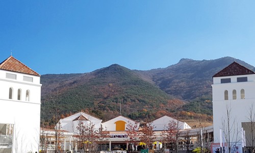 자연드림 이미지