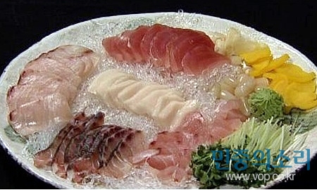 진참치 이미지