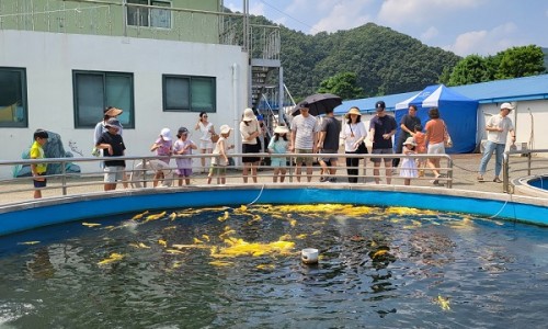 고기학교 이미지