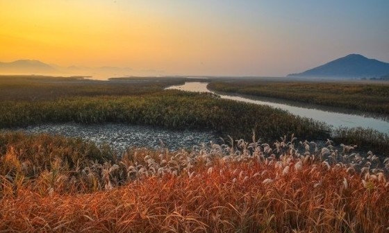 (주)한국관광 이미지