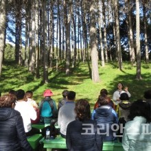 코리안여행사 이미지