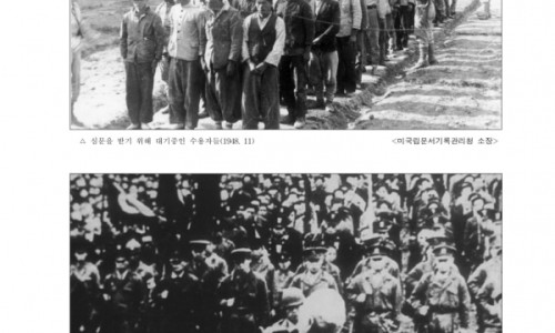 몽드로제주 이미지