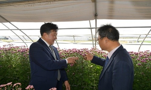 국화통신 이미지