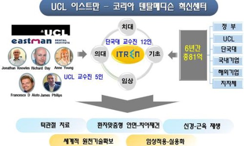 김영만치과의원 이미지