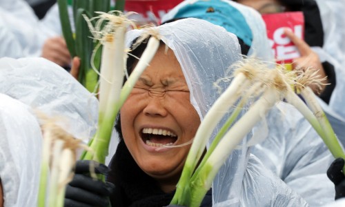 일파 이미지