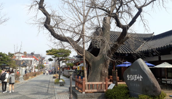 강주영 이미지