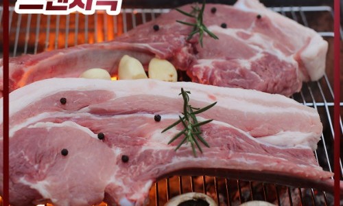 바른제주 이미지