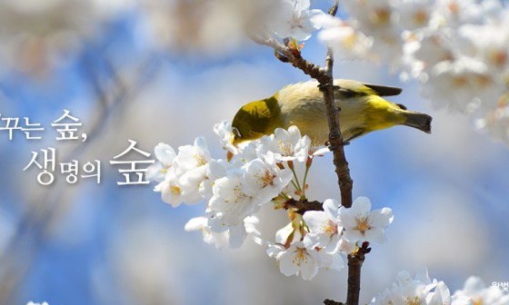 한라기획 이미지