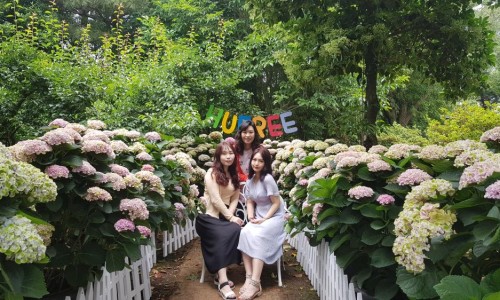 제주스마일택시관광 이미지