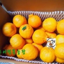 제주어멍농장 이미지