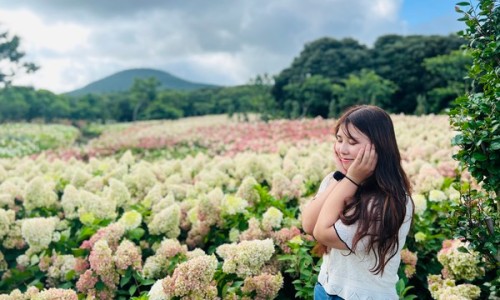 제주동화마을 이미지