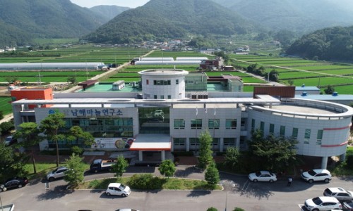 재단법인 남해마늘연구소 이미지