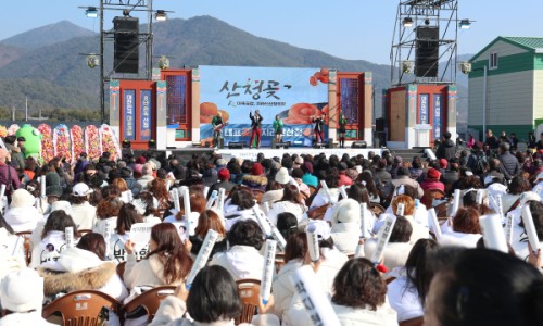 지리산산청곶감 이미지