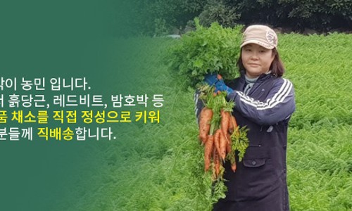 귤하우스 이미지