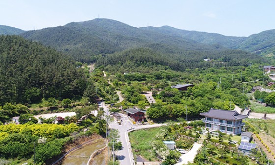 영산산림 이미지