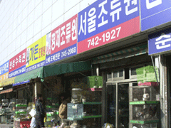 라임모텔 이미지
