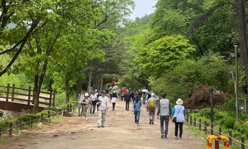 서울대 관악수목원 이미지