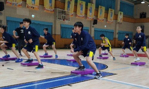 트레스비짐 이미지