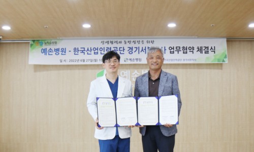 유한책임회사하이모 이미지