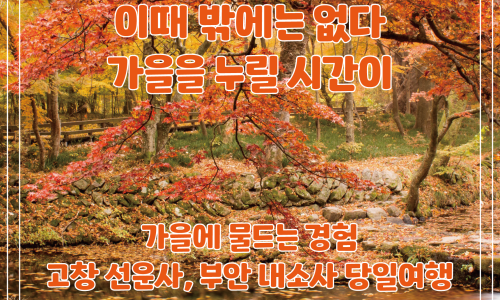 주원항공여행사 이미지