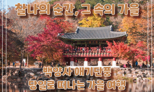 주원항공여행사 이미지