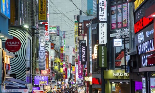심플택스 이미지