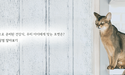 래빗키친 이미지