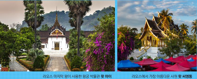 루앙여행사 이미지
