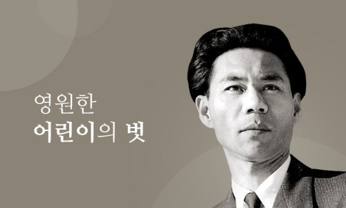 늘푸른나무 이미지