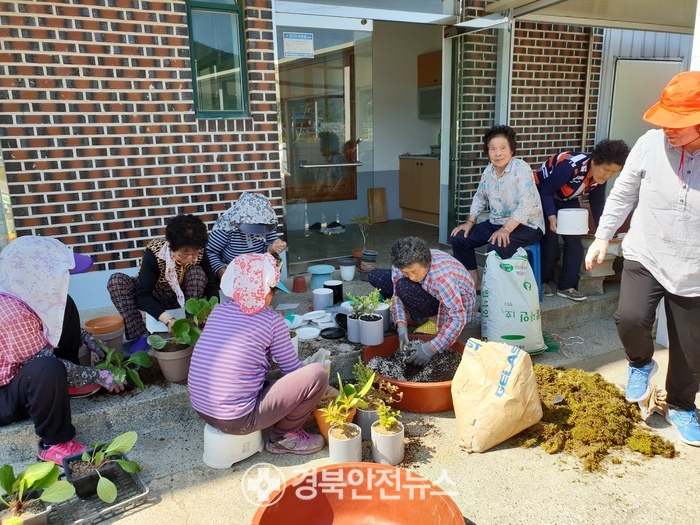영남화분 이미지
