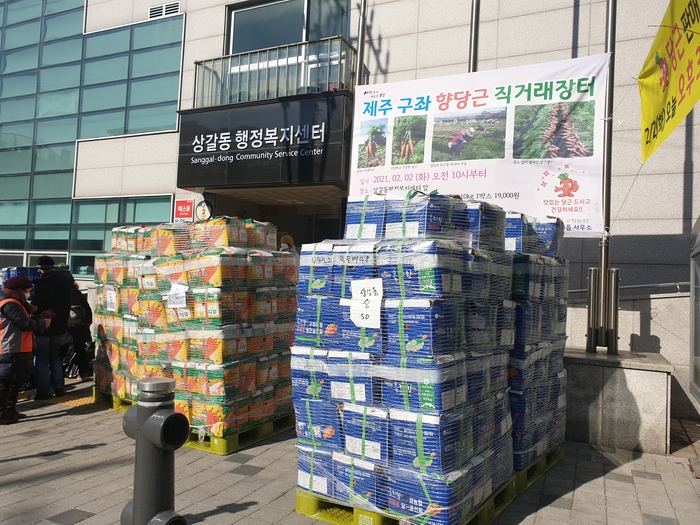 제주장터 이미지