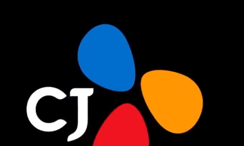 주식회사 영네트웍스 이미지