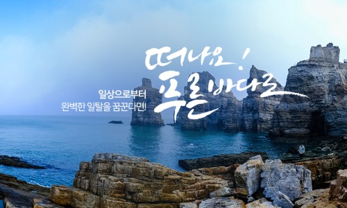 훼미리플라워 이미지
