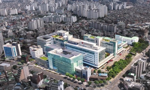 일등건설기계 이미지