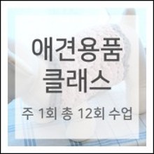박형아는뜨개쟁이아카데미 이미지