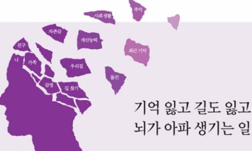 신문기획 이미지