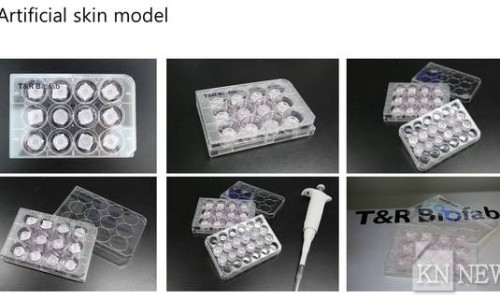 티앤알 이미지