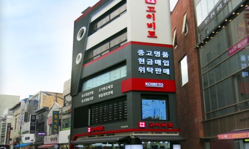 고이비토 이미지