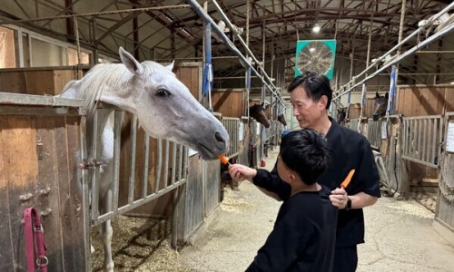 천안시승마협회 이미지