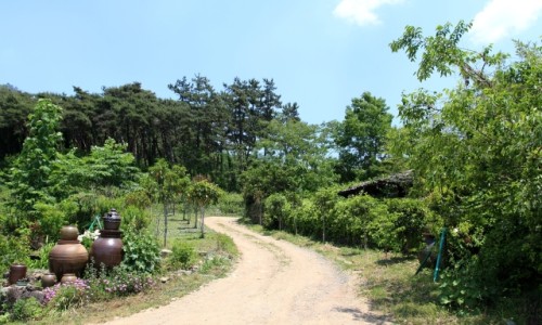 (주)가야식품 이미지